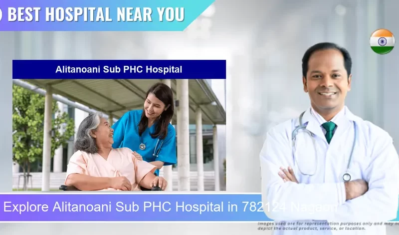 Alitanoani Sub PHC Hospital located in Pincode 782124 Nagaon