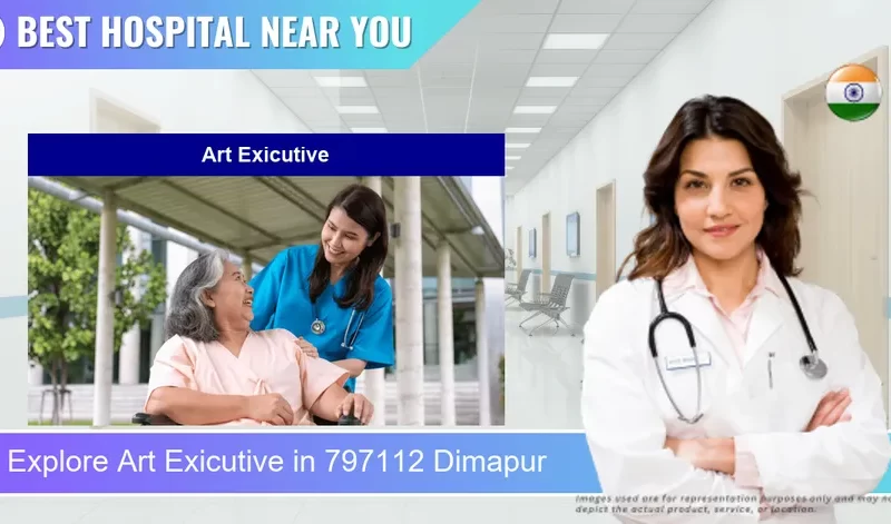 Art Exicutive located in Pincode 797112 Dimapur
