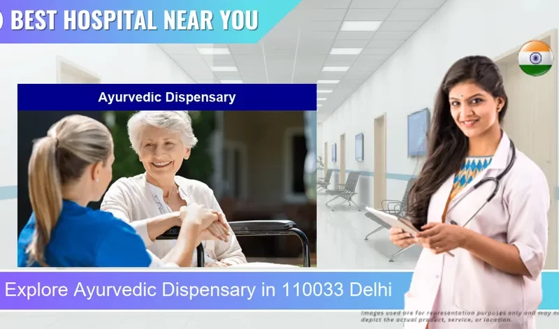 Ayurvedic Dispensary located in Pincode 110033 Delhi