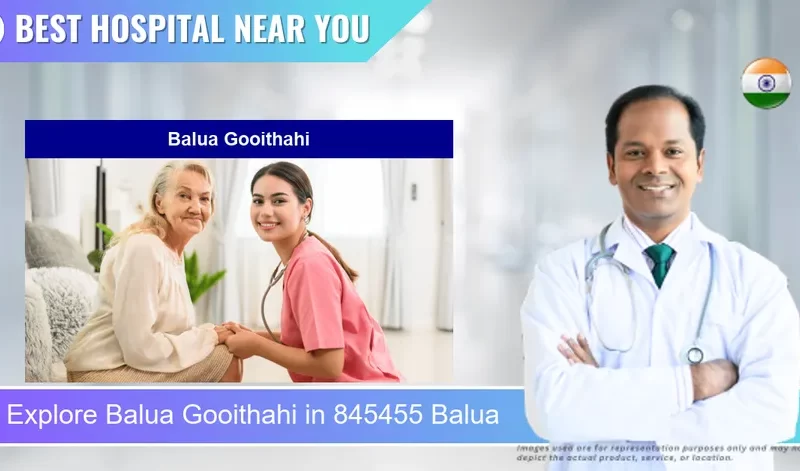 Balua Gooithahi located in Pincode 845455 Balua