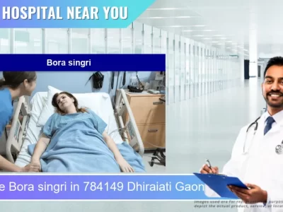 Bora singri located in Pincode 784149 Dhiraiati Gaon