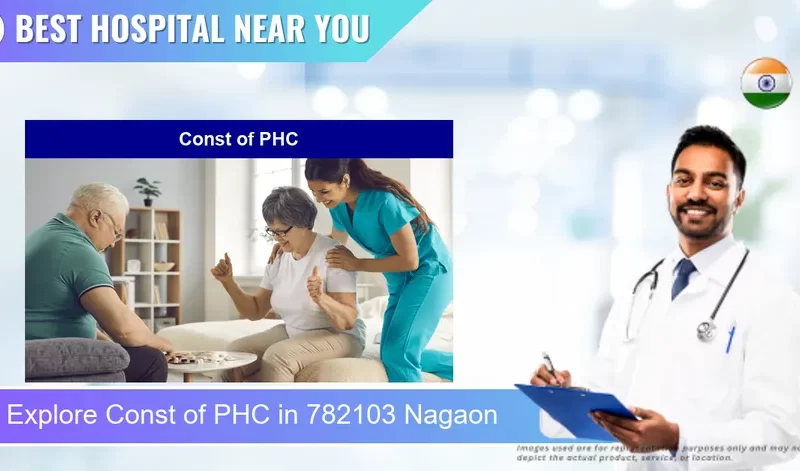 Const of PHC located in Pincode 782103 Nagaon