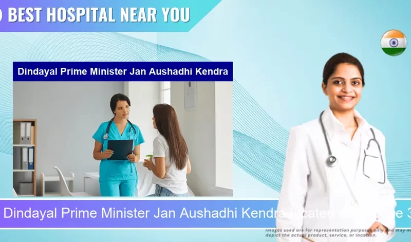 Dindayal Prime Minister Jan Aushadhi Kendra located in Pincode 384002 Mehsana