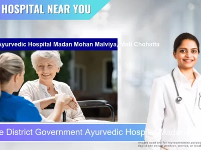 District Government Ayurvedic Hospital Madan Mohan Malviya Moti Chohatta located in Pincode 313001 Udaipur