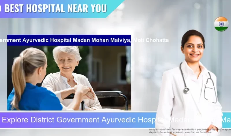 District Government Ayurvedic Hospital Madan Mohan Malviya Moti Chohatta located in Pincode 313001 Udaipur
