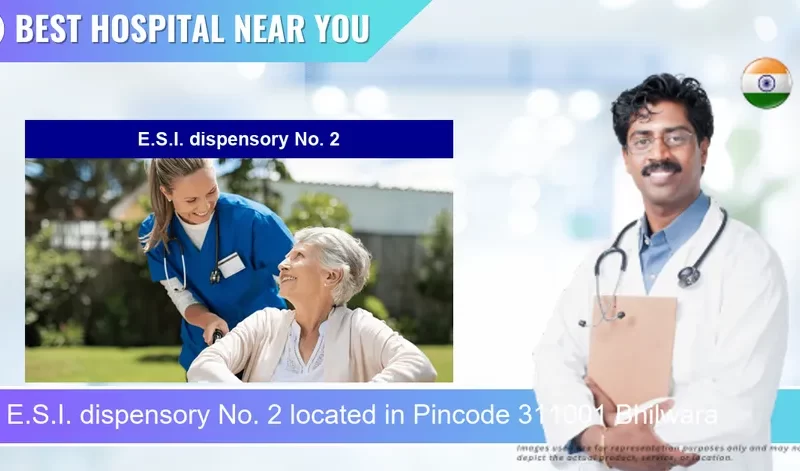E.S.I. dispensory No. 2 located in Pincode 311001 Bhilwara