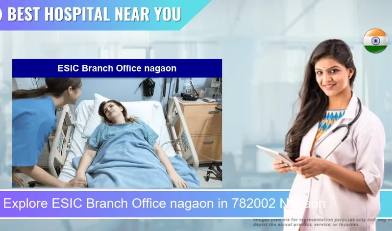 ESIC Branch Office nagaon located in Pincode 782002 Nagaon