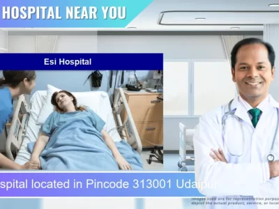 Esi Hospital located in Pincode 313001 Udaipur