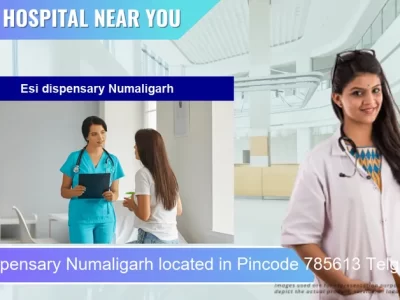Esi dispensary Numaligarh located in Pincode 785613 Telgaram