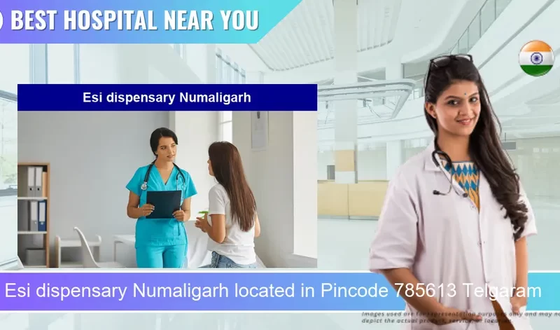Esi dispensary Numaligarh located in Pincode 785613 Telgaram