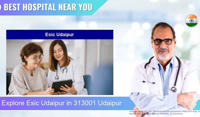 Esic Udaipur located in Pincode 313001 Udaipur