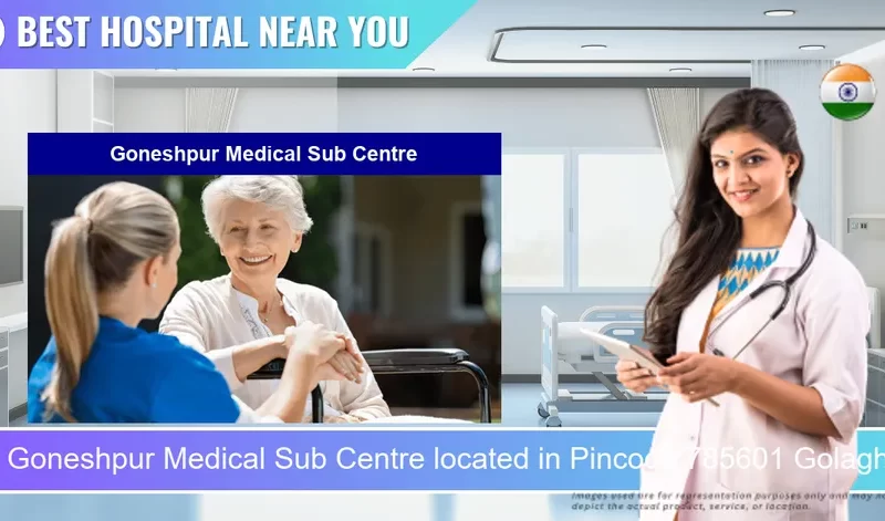 Goneshpur Medical Sub Centre located in Pincode 785601 Golaghat