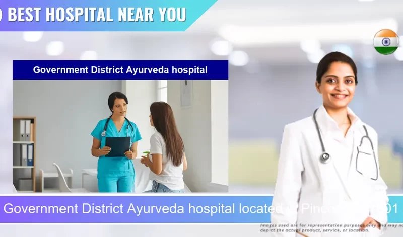 Government District Ayurveda hospital located in Pincode 301001 Alwar