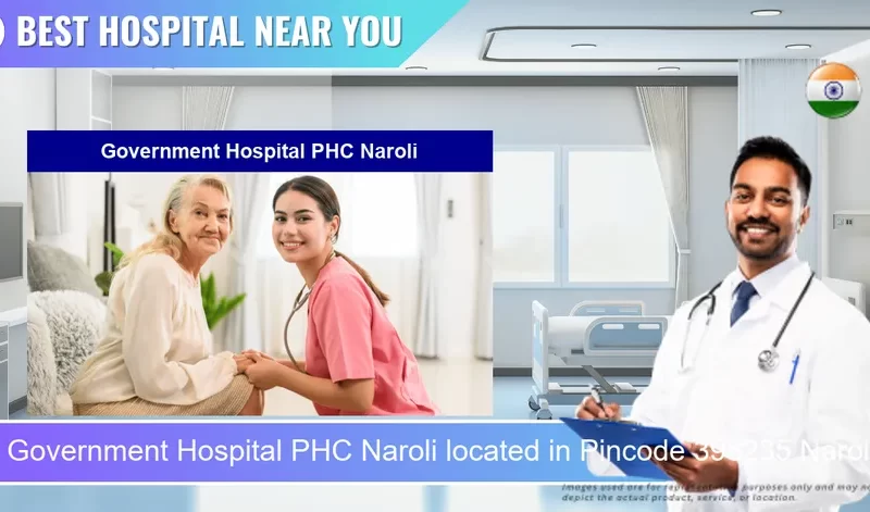 Government Hospital PHC Naroli located in Pincode 396235 Naroli