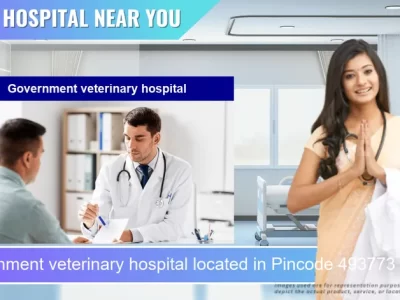 Government veterinary hospital located in Pincode 493773 Dhamtari