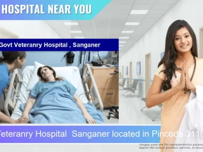 Govt Veteranry Hospital Sanganer located in Pincode 311011 Bhilwara