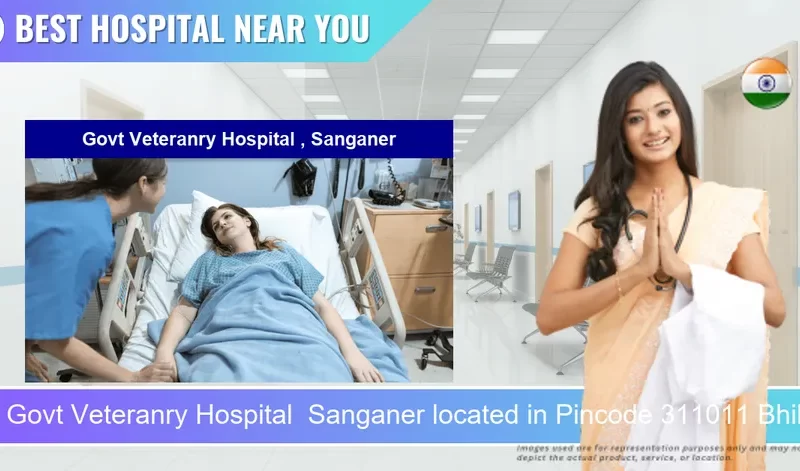 Govt Veteranry Hospital Sanganer located in Pincode 311011 Bhilwara