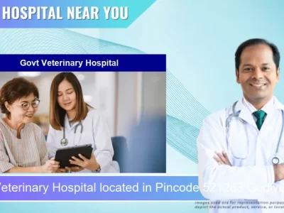 Govt Veterinary Hospital located in Pincode 521263 Gudivada