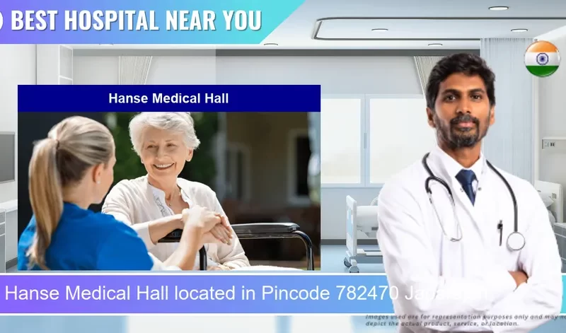 Hanse Medical Hall located in Pincode 782470 Japarajan