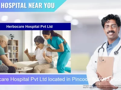 Herbocare Hospital Pvt Ltd located in Pincode 605013 Puducherry