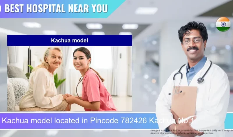 Kachua model located in Pincode 782426 Kachua No.1