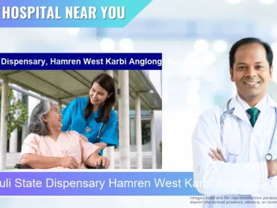 Khanduli State Dispensary Hamren West Karbi Anglong Assam located in Pincode 793151 Khainduli