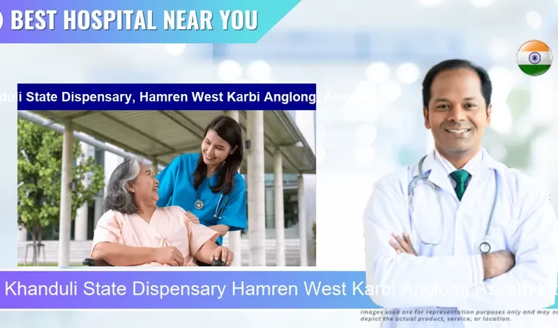 Khanduli State Dispensary Hamren West Karbi Anglong Assam located in Pincode 793151 Khainduli
