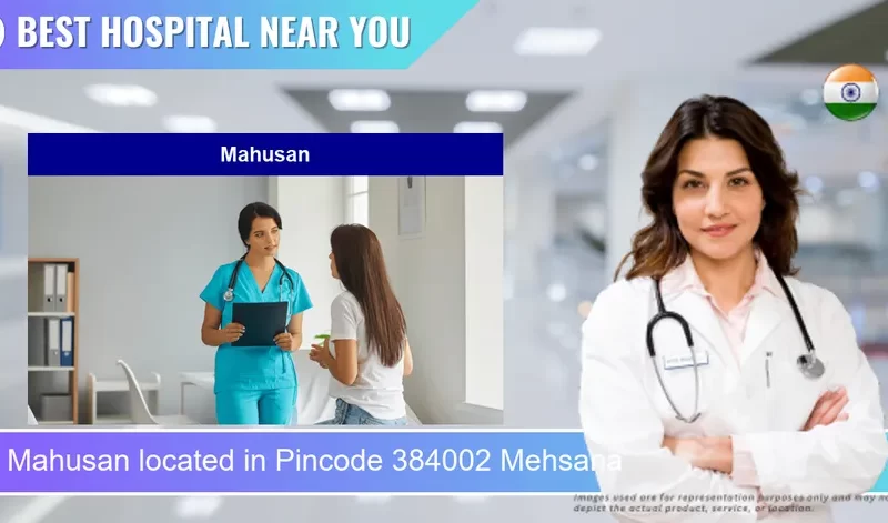 Mahusan located in Pincode 384002 Mehsana