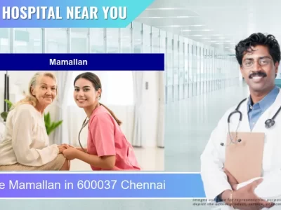 Mamallan located in Pincode 600037 Chennai