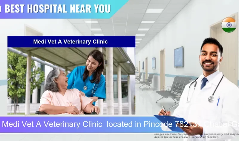 Medi Vet A Veterinary Clinic located in Pincode 782137 Chatial Gaon