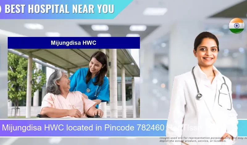 Mijungdisa HWC located in Pincode 782460 Het Tisso