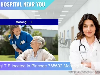 Morongi T.E located in Pincode 785602 Morongi T.E.