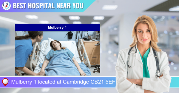 Mulberry 1 located at Cambridge CB21 5EF