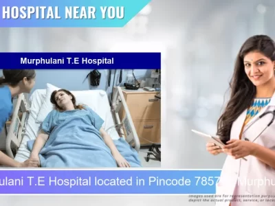 Murphulani T.E Hospital located in Pincode 785702 Murphulani T.E.