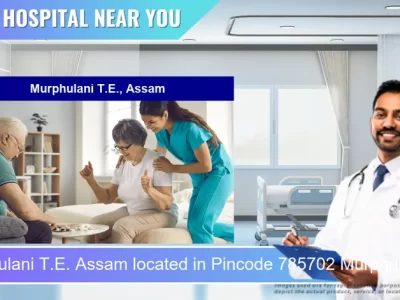 Murphulani T.E. Assam located in Pincode 785702 Murphulani T.E.
