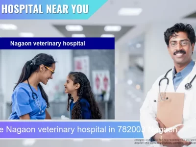 Nagaon veterinary hospital located in Pincode 782003 Nagaon