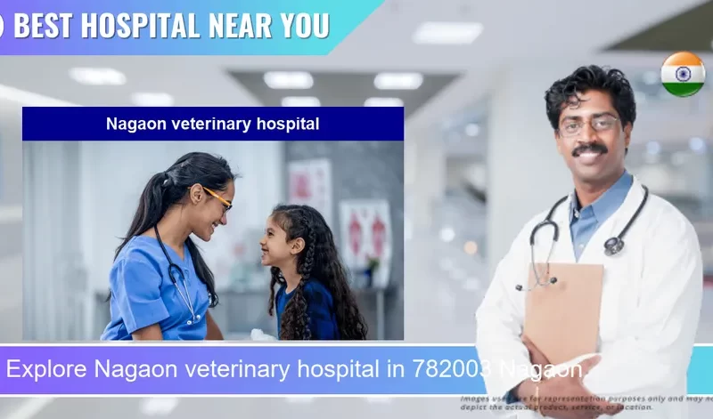 Nagaon veterinary hospital located in Pincode 782003 Nagaon