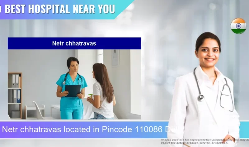 Netr chhatravas located in Pincode 110086 Delhi