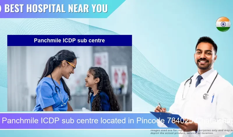 Panchmile ICDP sub centre located in Pincode 784025 Chataichapori