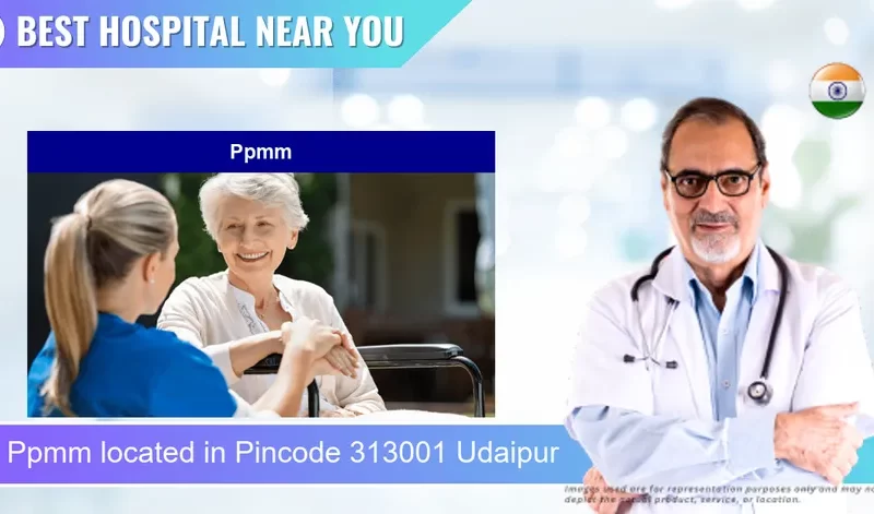 Ppmm located in Pincode 313001 Udaipur