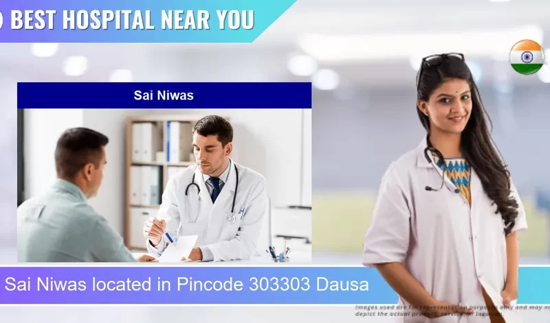 Sai Niwas located in Pincode 303303 Dausa