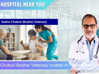 Saikia Chuburi Borjhar Vetenary located in Pincode 784501 Tezpur