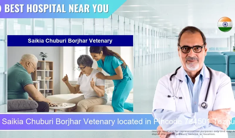 Saikia Chuburi Borjhar Vetenary located in Pincode 784501 Tezpur