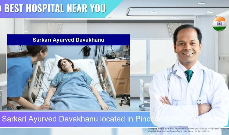 Sarkari Ayurved Davakhanu located in Pincode 384002 Mehsana