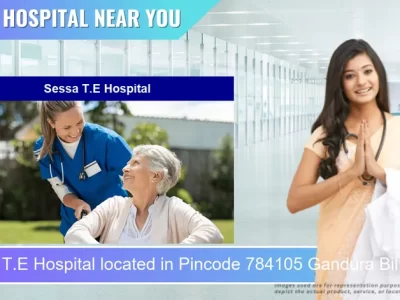 Sessa T.E Hospital located in Pincode 784105 Gandura Bil