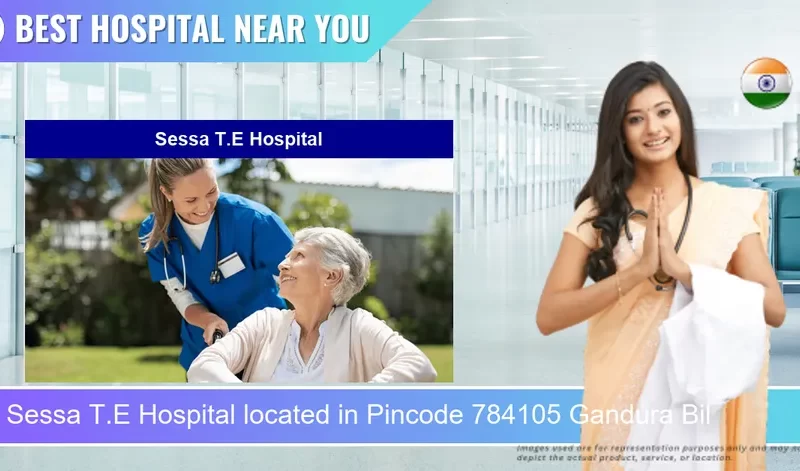 Sessa T.E Hospital located in Pincode 784105 Gandura Bil