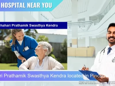 Shahari Prathamik Swasthya Kendra located in Pincode 311001 Bhilwara