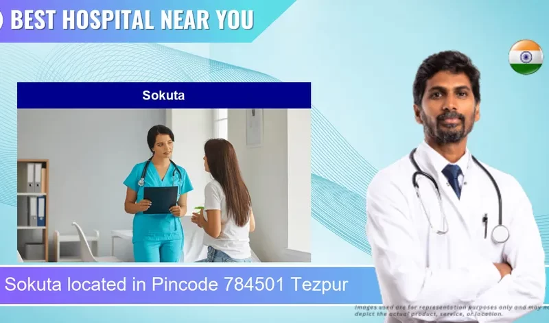 Sokuta located in Pincode 784501 Tezpur