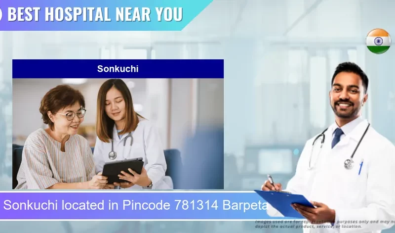 Sonkuchi located in Pincode 781314 Barpeta