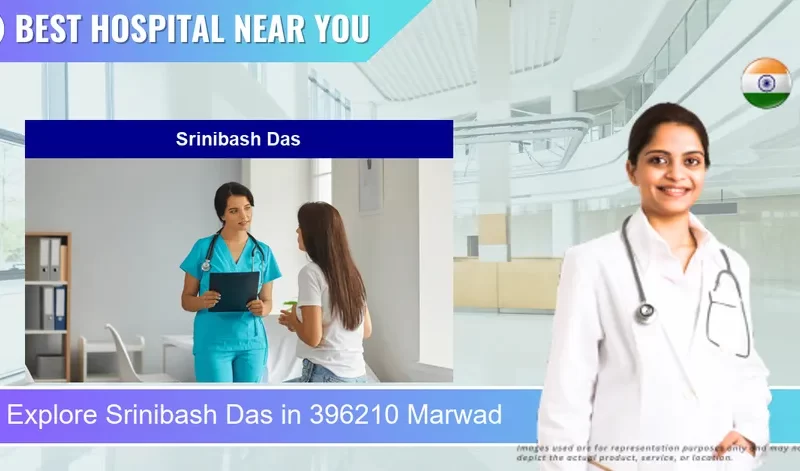Srinibash Das located in Pincode 396210 Marwad